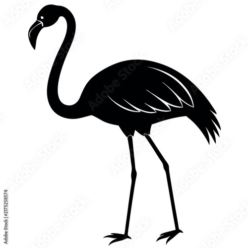 A standing flamingo silhouette on white background 