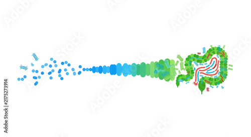 Abstract Gut Microbiome Illustration with Probiotics and Intestinal Flora Concept
