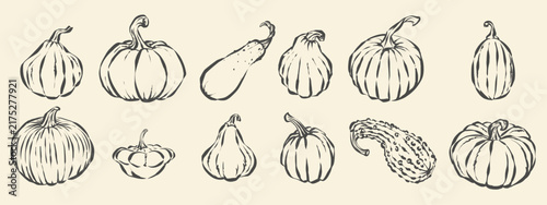 Foto Monochrome pumpkin vector set with hand drawn doodle sketches of different squas