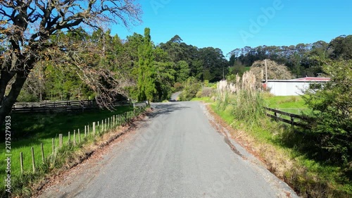 Cinematic Rural Driveway Through Warkworth Countryside, New Zealand