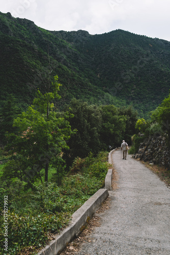 Elderly man walking alone on a mountain road surrounded by greenery