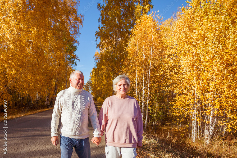 Obraz premium Happy senior couple walking hand in hand in autumn park. Elderly man and woman strolling along road with golden birch trees. Active retirement, love and togetherness concept.