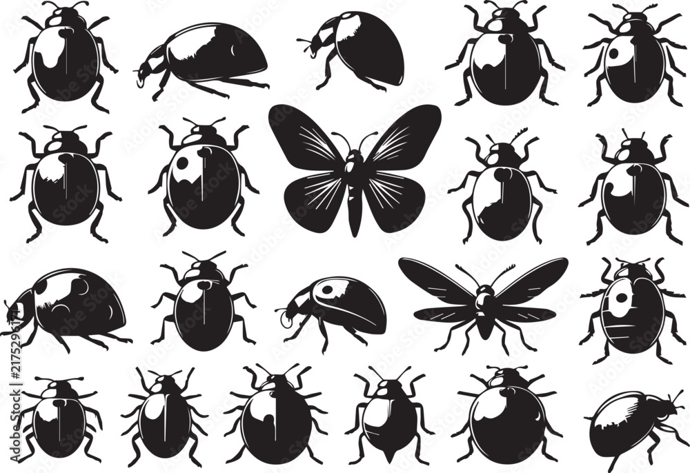 Fototapeta premium Simple Ladybug Silhouette Shape Isolated on White Background