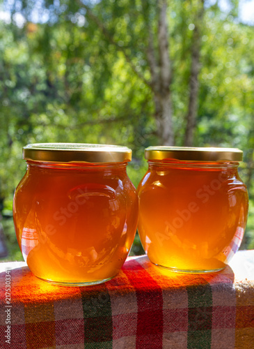 Two glass jars of pure honey glowing in warm sunlight against a blurred natural green background, rustic summer scene.