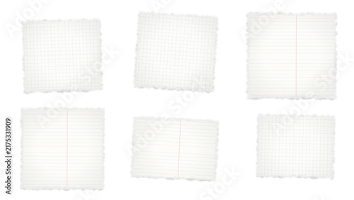 Set of six rectangular white paper pieces with rough torn edges, displaying grid patterns and lined paper with red margins, isolated