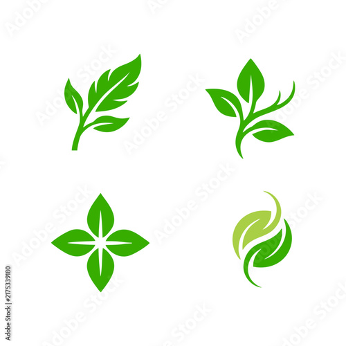botanical leaf logo symbols