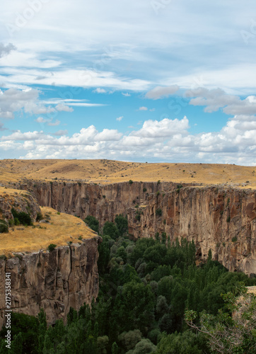 Obraz na plátně Vertical view of deep canyon walls surrounded by dense forest in Ihlara Valley,