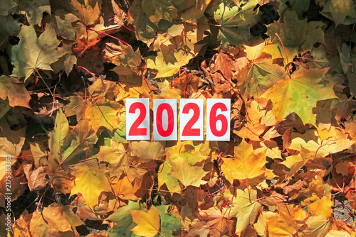 Autumn of 2026 year. Paper square numbers on the yellow maple leaves background. Coming fall. Autumn time in town, celebration concept. Outside walking in autumn forest in 2026. Falt leaves in park