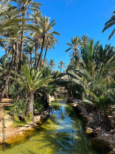 Spanish Coast with Palm Trees and Blue Mediterranean Sea