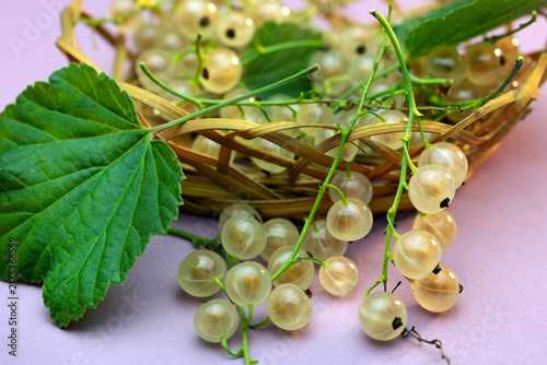 Canvastavla A view of a ripe white currant berry with a green leaf, bleached on a white background