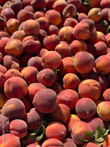 Canvastavla Freestone Peaches