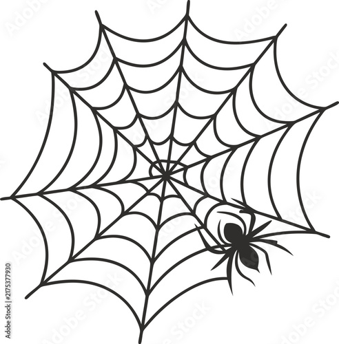 spider web vector