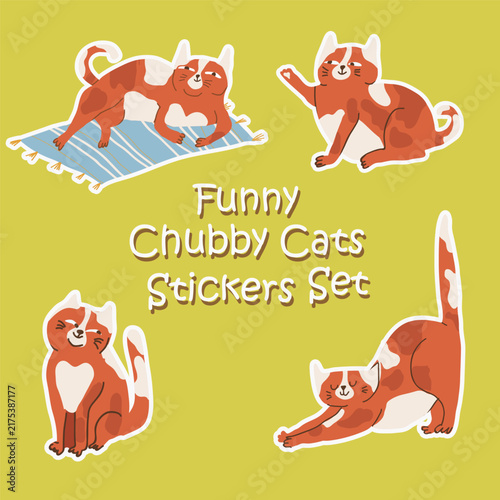 Set of cute fat cats sticker vector. Hand drawn collection for T-shirt,sticker, print, pet shop.