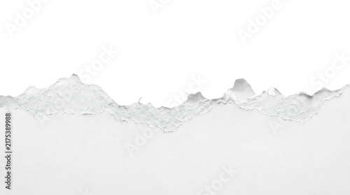 Canvastavla Torn paper edge with rough texture