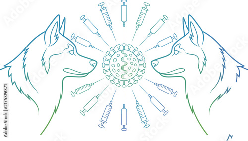 Minimalist husky dog line art with virus and vaccine syringes. Veterinary medicine concept illustration. Canine health and immunization vector.