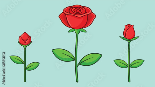 Set of three red rose flowers in different stages of bloom isolated on a light blue background for floral design projects