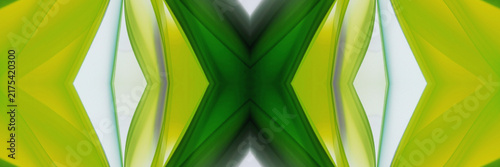 Canvas Print Abstract green flowing curves creating symmetrical patterns in vibrant digital a