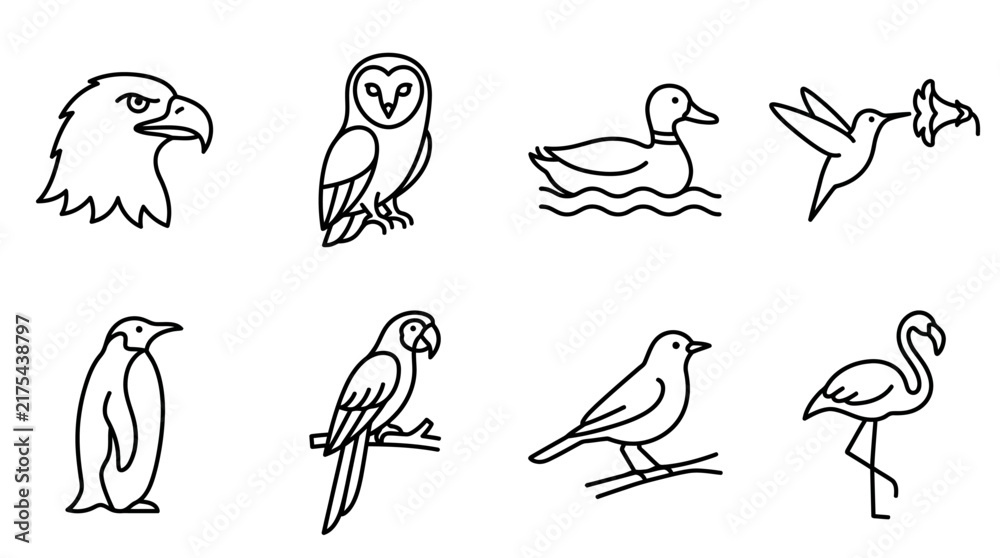Obraz premium Hand-drawn line art icons of twelve distinct bird species including eagle, owl, penguin, and flamingo arranged in a grid.