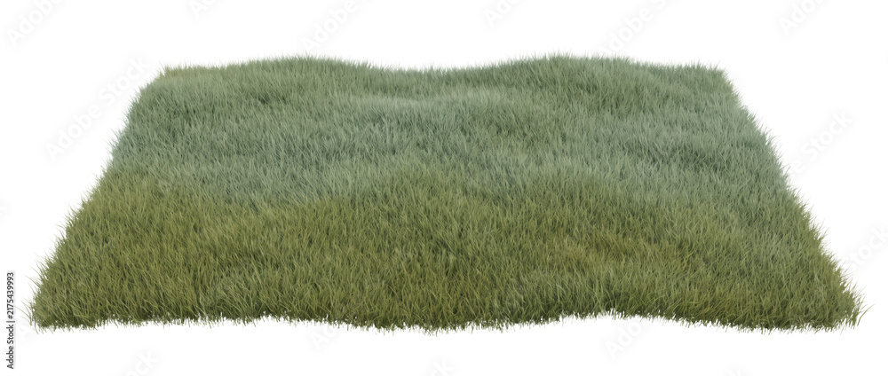 Fototapeta premium Square patch of soft green lawn and meadow grass on a transparent background for landscape design, sustainability reports, garden branding, ecology education, editorial layouts, and web banners