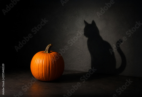 Orange pumpkin casting a mysterious black cat shadow on a dark wall. Creative Halloween concept with dramatic lighting, spooky atmosphere and copy space.