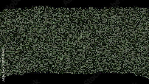 Obraz na płótnie 3d Differential Growth simulation. Evolving meandering growing line. Simple line growing into complex structure. 3d simulation render illustration.