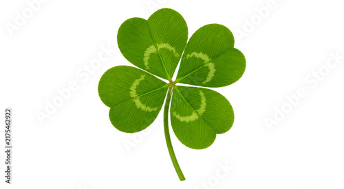 Cuadro en lienzo Lucky Four Leaf Clover Shamrock Symbol