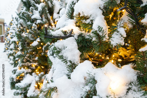 A festive winter backdrop with snow‑covered Christmas trees decorated with warm, shimmering garlands. Close‑up of spruce branches. New Year and Christmas.