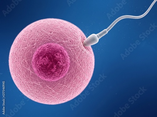Conceptual Illustration of Sperm Approaching a Human Egg Cell