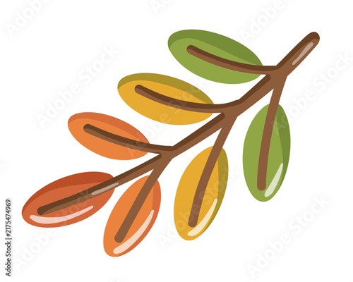 Colorful autumn branch with green, yellow, orange and red leaves. Cartoon vector illustration on white background. 