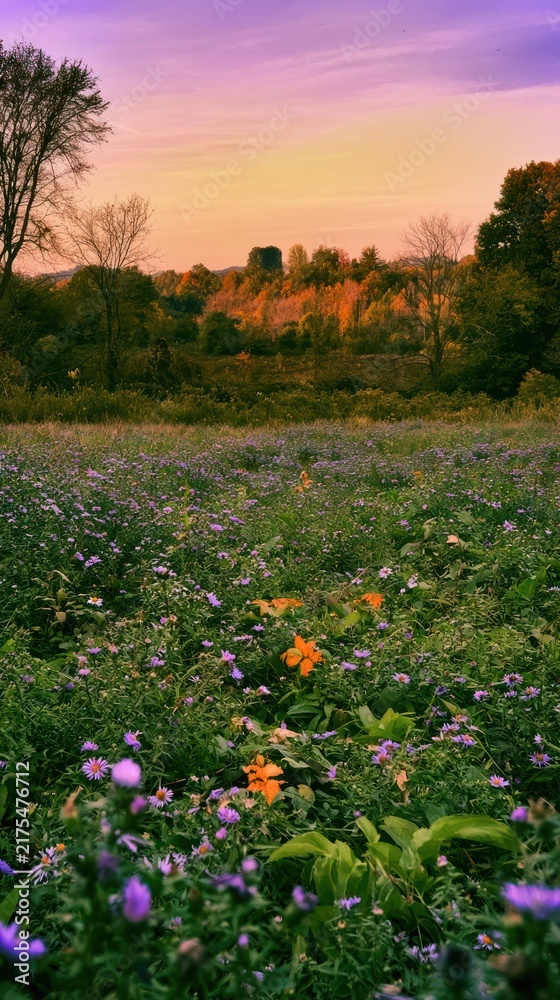Naklejka premium Serene meadow at sunset with wildflowers and trees.