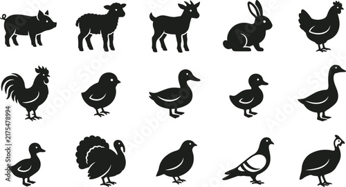 Farm Animal and Poultry Silhouette Icon Set with Livestock and Bird Symbols