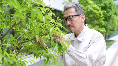 樹木のお手入れをする庭師
