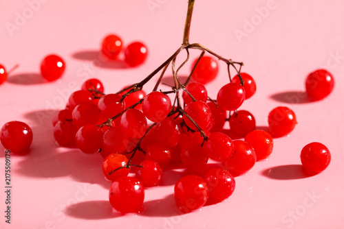 Cuadro en lienzo Fresh viburnum berries on pink background, closeup