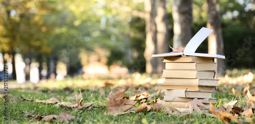 Fotografía Education and lifelong learning, stack of old books on autumn grass in park for