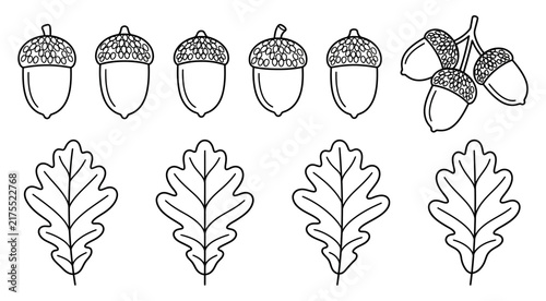 A collection of simplified outline drawings of acorns and oak leaves depicting autumn elements in a clean graphic style oak leaf fall nature tree plant seed seasonal organic