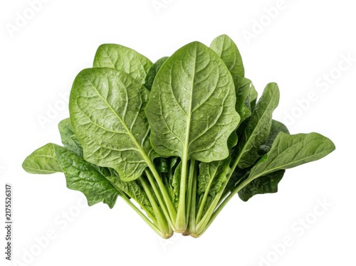 Fresh green spinach leaves bunch on clean white background