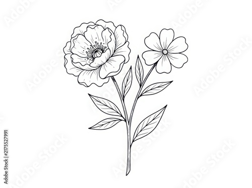 Detailed floral sketch with peony and daisy flowers