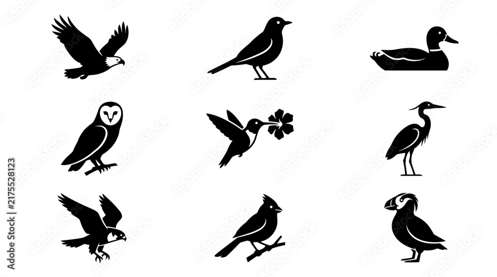 Fototapeta premium Diverse bird species and avian silhouette icons.
