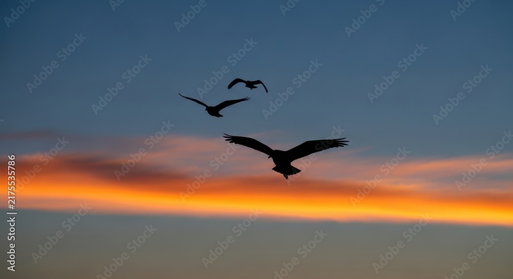 Fototapeta premium Silhouettes of birds soaring against a vibrant sunset sky