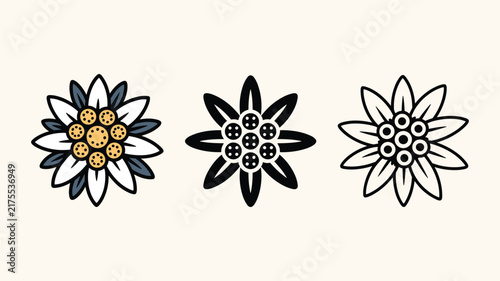 Set of edelweiss flower illustrations in color and outline styles for traditional mountain themed designs.