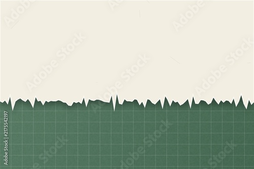 Minimalist backdrop showing torn paper over green grid graph paper sheet.