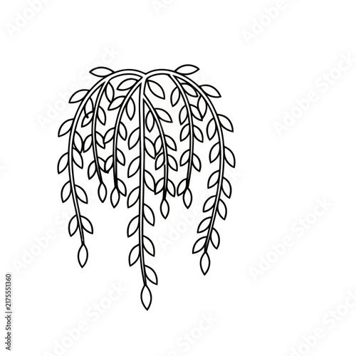 Weeping Willow Branch Outline