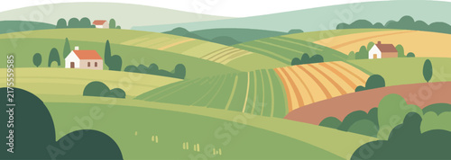 Japanese rice paddy field landscape vector illustration with copy space