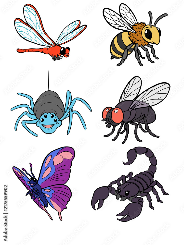 Fototapeta premium Cute insect and bug illustration set for kids learning, cartoon creepy crawlies elements pack, isolated on transparent background 