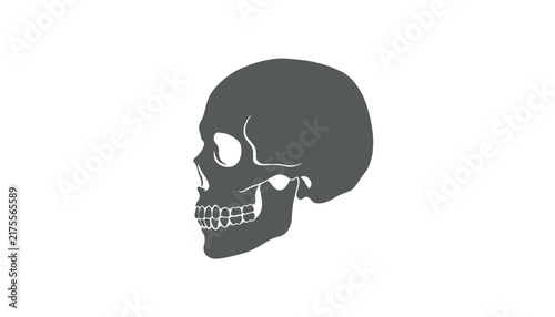 Gray silhouette of a human skull side profile, detailing teeth and jaw structure for anatomy or halloween themes.