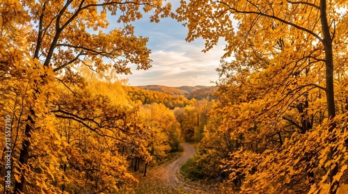 Golden Autumn Forest Pathway Framed by Vibrant Fall Foliage with Warm Sunlight and Panoramic Nature Scenery