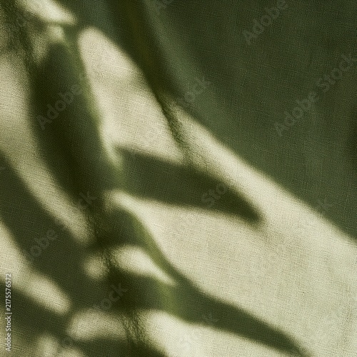 A backdrop in soft olive green shows faint shadows from an organic shape creating a simple and minimal design in a natural setting