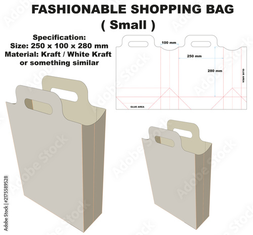 Eco Friendly Paper Shopping Bag Packaging Template