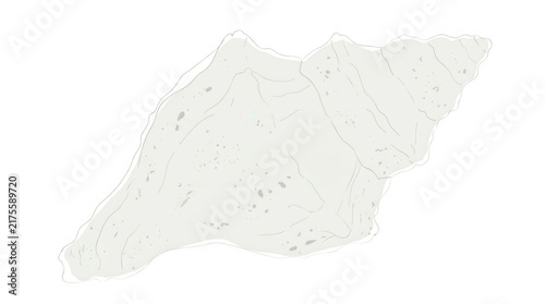 Ilustración minimalista de una caracola marina en tonos grises claros y blancos, dibujada con líneas finas y texturas sutiles sobre un fondo blanco aislado.