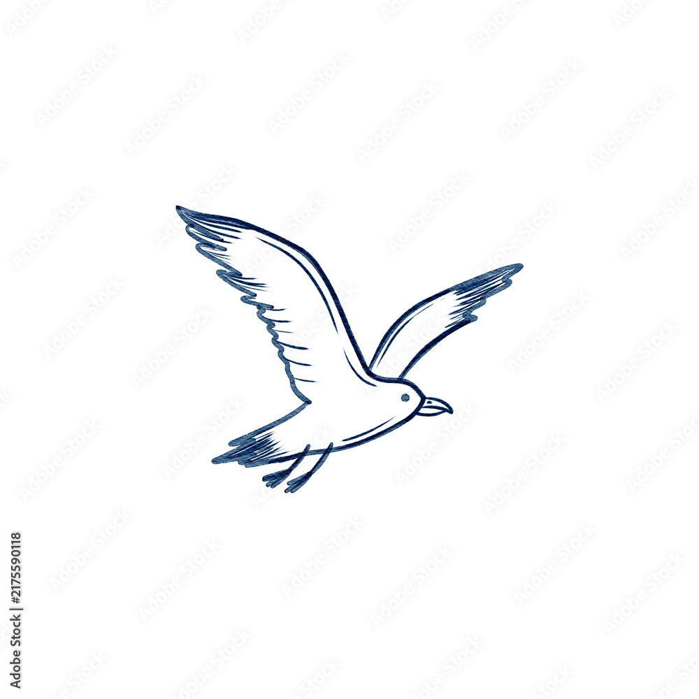 Obraz premium Watercolor hand drawn illustration of seagull. Illustration for decor and design, prints. 